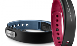 Garmin VivoSmart