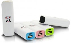 2-Pack iPanda Rapid Flash Charger 1