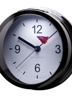 Aquavista Betta Fish Clock Aquarium 1