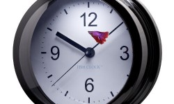 Aquavista Betta Fish Clock Aquarium 1