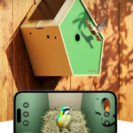 Birddy-Smart-Bird-House-1