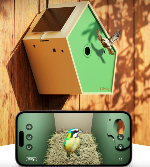 Birddy-Smart-Bird-House-1