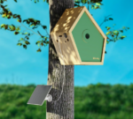 Birddy-Smart-Bird-House-2