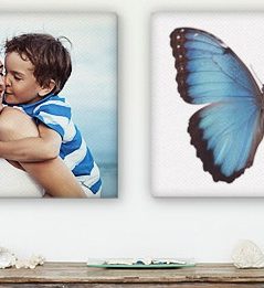 Get 25 percent off all Canvas Prints and Free Shipping!