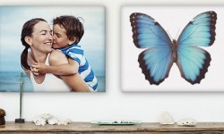 Get 25 percent off all Canvas Prints and Free Shipping!