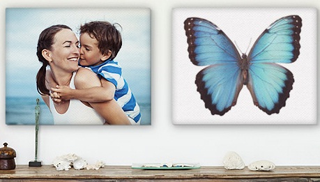 Get 25 percent off all Canvas Prints and Free Shipping!
