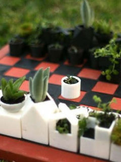 Micro Planter Chess Set 1