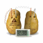 Novel DIY Green Science Potato Digital Clock Timepiece 1