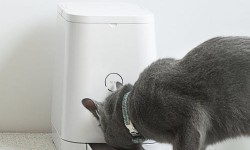 PETLY Automatic Pet Feeder 2