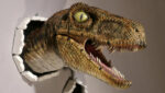 Realistic Wallbursting Velociraptor & Claw Set 2