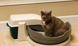 Simply Clean Automatic Litter Box 1