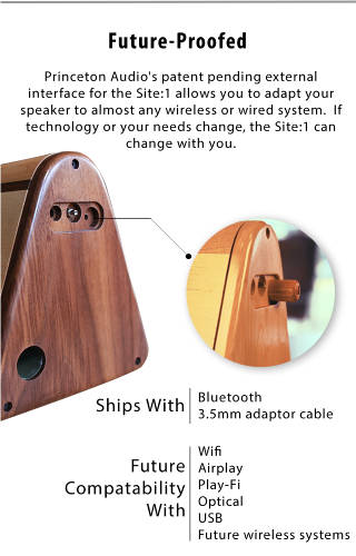 Site:1 Customizable Bluetooth Speaker 2