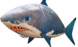 Special Offer On Remote Control Flying Shark 1