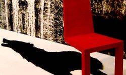 The Wolf Shadow Chair