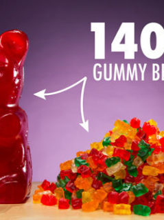 The World's Largest Gummy Bear 1
