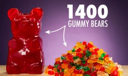 The World's Largest Gummy Bear 1