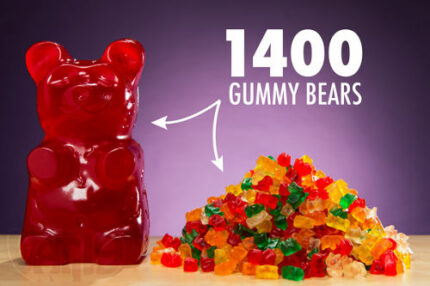 The World's Largest Gummy Bear 1