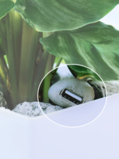 The first plant pot that charges your phone