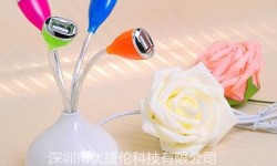 Wewdigi 4 USB Vase Shaped HUB