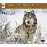 Wolves 2015 Wall Calendar