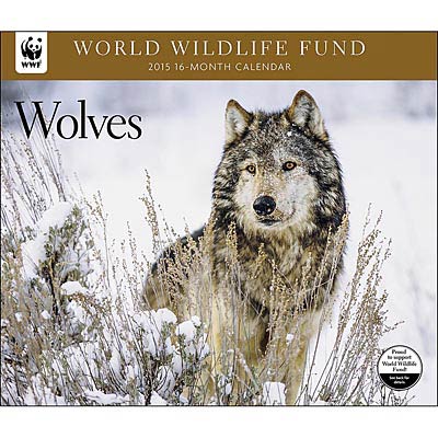 Wolves 2015 Wall Calendar