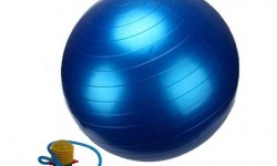 Yoga GYM Fitness Exercise Ball 55cm