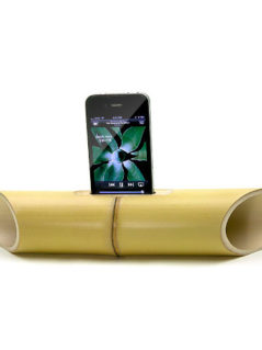 iBamboo Speaker 1